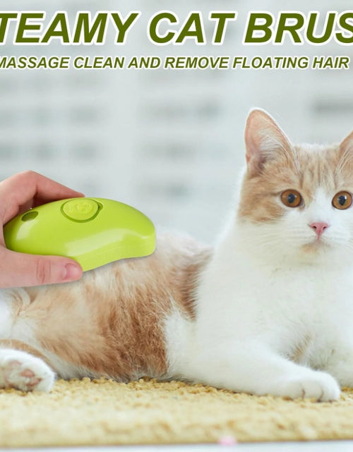 Load image into Gallery viewer, 3 in 1 Self Cleaning Cat Steamer Brush - Removes Tangled Hair, Cat Steamer Brush for Massage
