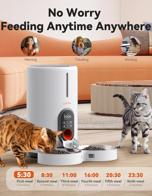 Load image into Gallery viewer, Automatic Cat Feeders for 2 Cats - Timed Dog Food Dispenser with Splitter and Two Stainless Bowls, Cat Feeders 10S Meal Call, 6 Meals per Day for Cats &amp; Small Dogs, White
